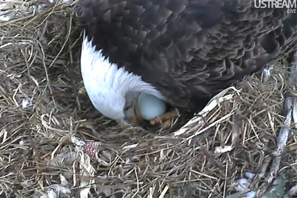 ScreenHunter_20 Feb. 21 11.00.jpg